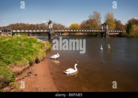 The wood and iron, Ferry Foot Bridge, Burton upon Trent, was erected in 1889 and it replaced the Stapenhill Ferry. Stock Photo