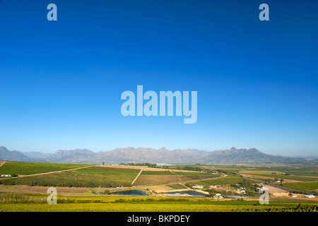 View across vineyards of the Stellenbosch district, Western Cape Province, South Africa. Stock Photo