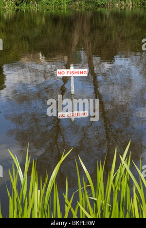 No Fishing sign in pond. The Silent Pool, near Shere Surrey Uk. HOMER SYKES Stock Photo
