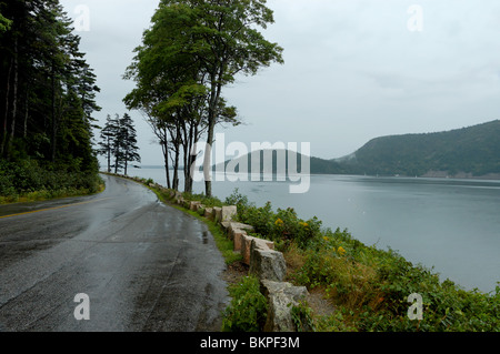 Deserted wet asphalt road on rainy day on Sargeant Drive at Somes Sound, Acadia National Park, Maine, USA. Stock Photo