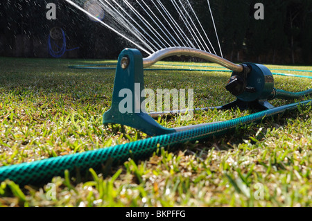 Watering a couch grass garden. Stock Photo