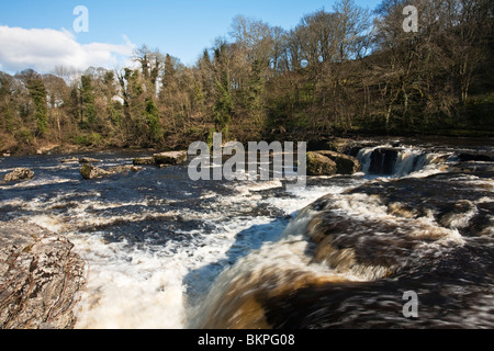 Aysgarth Falls on the River Ure in The Yorkshire Dales National Park, Uk Stock Photo