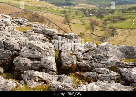 Limestone pavement at the top of Malham Cove in the Yorkshire Dales, Uk Stock Photo