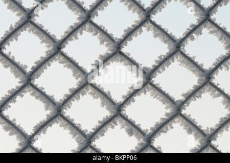wire netting covered with hoar frost against the light Stock Photo