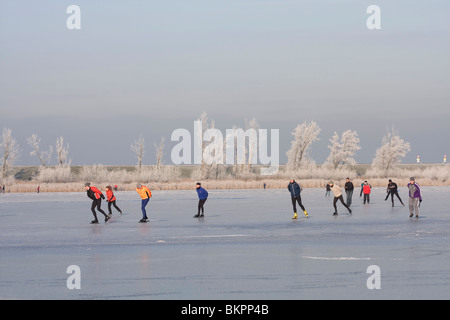 Schaatsers in de Oostvaardersplassen Stock Photo