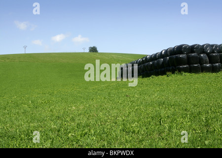 Black plastic wrap cover for wheat cereal bales outdoor Stock Photo