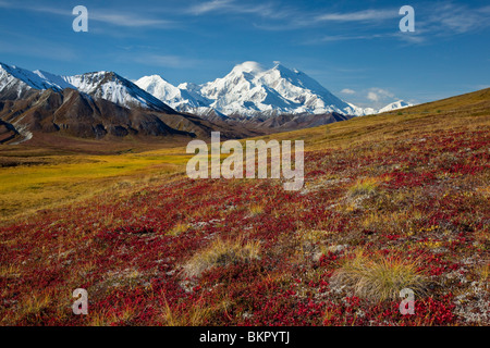 Scenic view of Mt.McKinley from Thorofare Pass with colorful Autumn tundra in the foreground, Denali National Park, Alaska Stock Photo