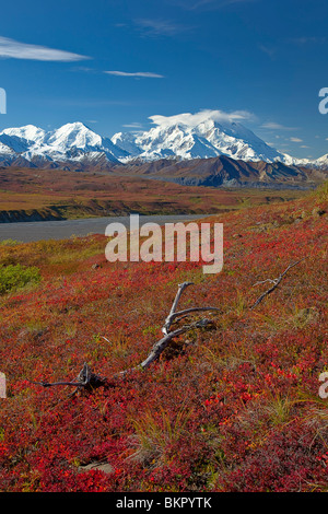 Scenic view of Mt.McKinley from Thorofare Pass with colorful Autumn tundra in the foreground, Denali National Park, Alaska Stock Photo