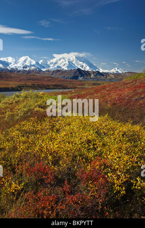 Scenic view of Mt.McKinley from Thorofare Pass with colorful Autumn tundra in the foreground, Denali National Park, Alaska Stock Photo