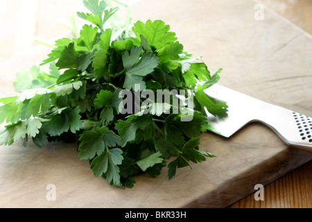 Parsley on chopping board Stock Photo