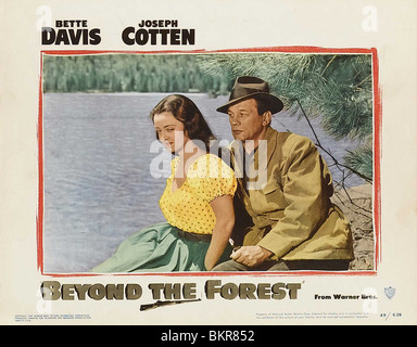 BEYOND THE FOREST (1949) BETTE DAVIS, JOSEPH COTTEN KING VIDOR (DIR) 001 Stock Photo