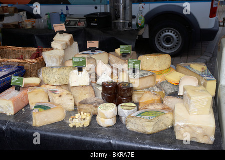 selection of cheeses including irish cheese on a speciality food stall in an outdoor market Holywood County Down Stock Photo