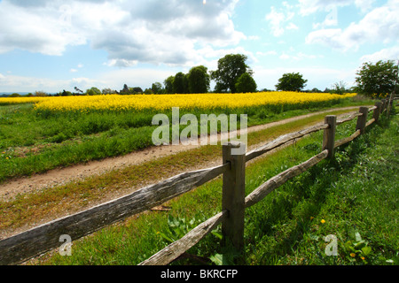 A wooden fence along the edge of fields of Rapeseed (Canola) in Oxfordshire, United Kingdom Stock Photo