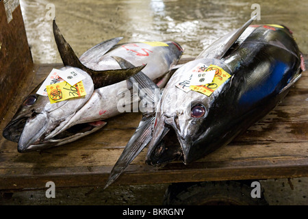Fish for sale at Tsukiji Fish Market in Tokyo