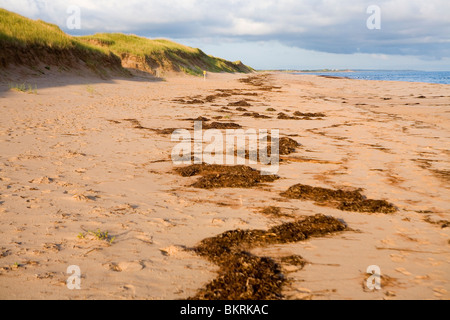 Beach at Greenwich on Prince Edward Island Stock Photo