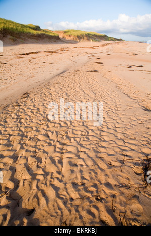 Beach at Greenwich on Prince Edward Island Stock Photo