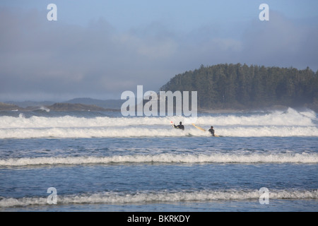 Surfers heading out into waves, Chesterman Beach, Tofino, Vancouver Island, BC Stock Photo