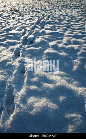 A snow scene in winter with footprints in the snow Stock Photo