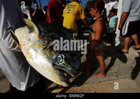 Curacao, the yacht club in the marina of the Spanish Water during a fishing competition Stock Photo