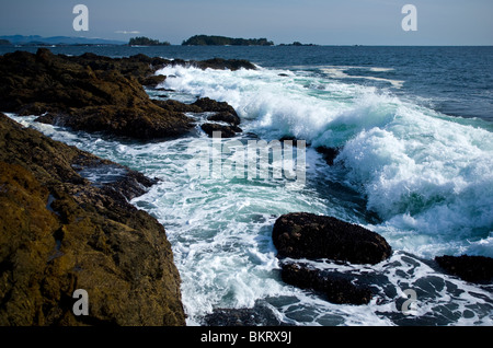 Ucluelet BC Canada Pacific rim national park Stock Photo