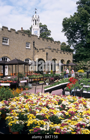 flowers for sale at Syon Park - West London - Middlesex - UK Stock Photo