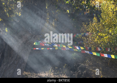 Prayer flags and smoke from fire in the grounds of  Muktinath Temple, Muktinath, Annapurna Circuit, Mustang District, Nepal. Stock Photo