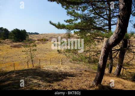 Ainsdale Sand Dunes National Nature Reserve Stock Photo