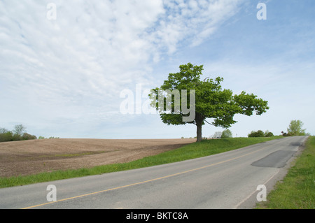 Roadside view of rural countryside in the Niagara Region. Stock Photo