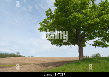 Roadside view of rural countryside in the Niagara Region. Stock Photo