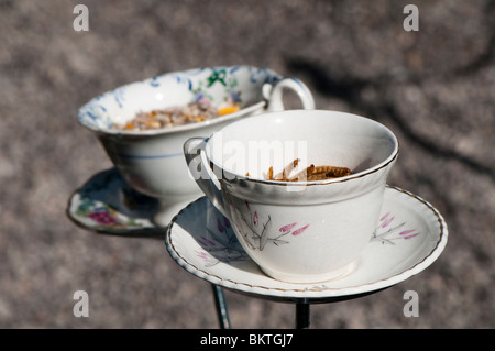 Teacup bird feeders in 'Irene's Garden' show garden at the RHS Show in Cardiff in 2010 Stock Photo