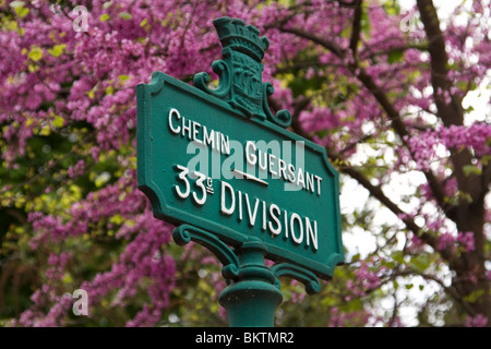 33rd Division in Montmartre cemetry, Paris Stock Photo