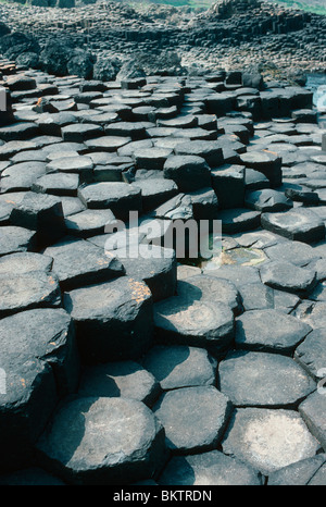 Columnar basal rock formations. Giant's Causeway, County Antrim ...