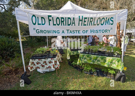 Kanapaha Spring Garden Festival Gainesville Florida heirloom plants for sale Stock Photo