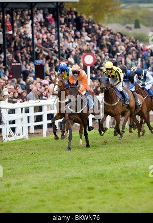 Horse racing action at Plumpton Racecourse, East Sussex, UK. Picture Jim Holden. Stock Photo