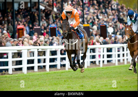 Horse racing action at Plumpton Racecourse, East Sussex, UK. Picture Jim Holden. Stock Photo