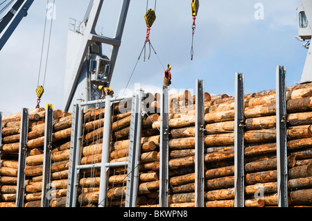 Men in hard hats and safety clothing stand on top of huge logs as they are being loaded onto a cargo ship. Stock Photo
