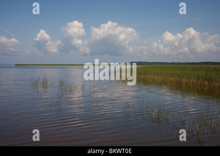 Lake Võrtsjärv near Vehendi, Tartu County, Estonia, Europe Stock Photo