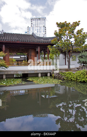 Reflections of a building in a pool with white waterlilies and small trees in the Dr Sun Yat-Sen Classical Chinese Garden Stock Photo