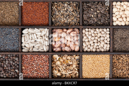 Selection of Vegetable and flower seeds in a wooden tray. Flat lay photography from above Stock Photo