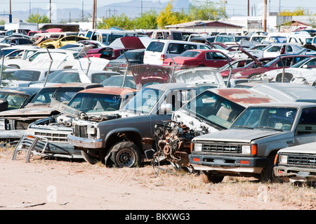 cars in a salvage yard being used to recycle parts Stock Photo