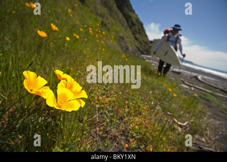 One man backpacks and surfs on The Lost Coast, California. Stock Photo