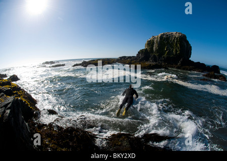 A man wearing a wetsuit jumps from rocks into the ocean with his surfboard while surfing at Punta de Lobos, Pichilemu, Chile. Stock Photo