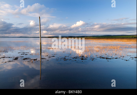 One of the Pilgrims Way Marker Posts on Lindisfarne Causeway Stock Photo