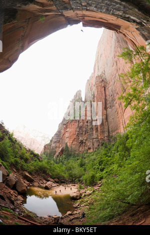 A canyoneering man completing a free rappel at the end of Heaps Canyon, Zion National Park, Springdale, Utah. Stock Photo