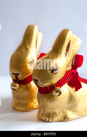 Chocolate easter bunnies wrapped in gold foil with a red ribbon and a little bell Stock Photo