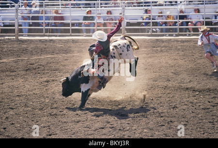 A cowboy riding a bucking bull at the Sisters Rodeo in Sisters, Oregon Stock Photo