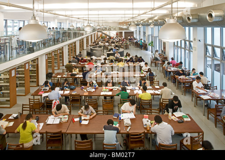 Tongji University, library, TFT-Screen, student, internet, world wide web, communication Stock Photo