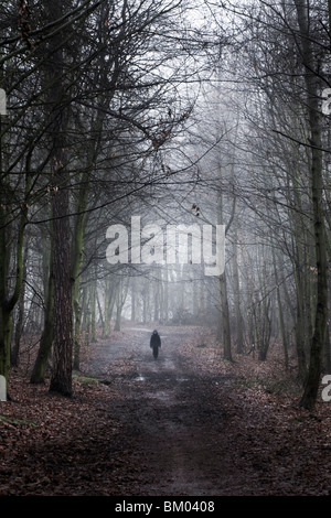 Small figure in the woods in winter Stock Photo