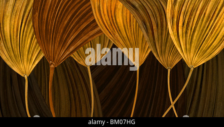 This peice is made from dried raful palm leafs. Stock Photo