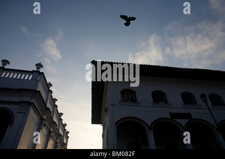 A pigeon flies over buildings in Cuetzalan del Progreso, Mexico. Stock Photo